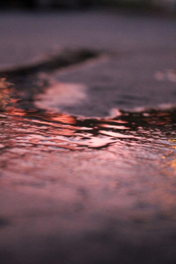 mesha-mittanasala-fsmfNedtnks-unsplash (1)