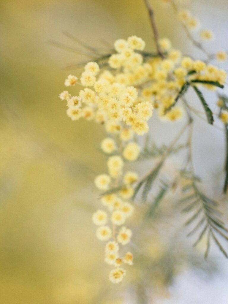 tsuyoshi-kozu-qvmvZbqDBVU-unsplash (2)